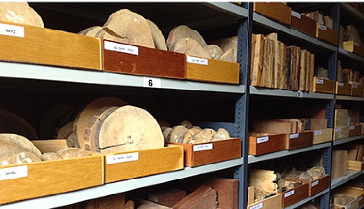 Indonesia Punya Perpustakaan Kayu